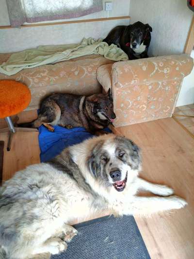 !!SELFIE MIT DEINEM LIEBLING!!-Beitrag-Bild