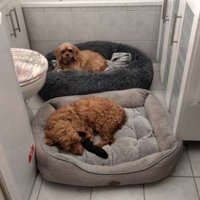 Wie habt ihr den Silvesterabend verbracht?-Beitrag-Bild