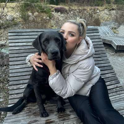 Hundetreffen-Gassirunde