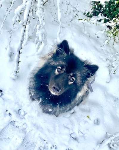 Handy-Foto-Challange Nr.9-Beitrag-Bild