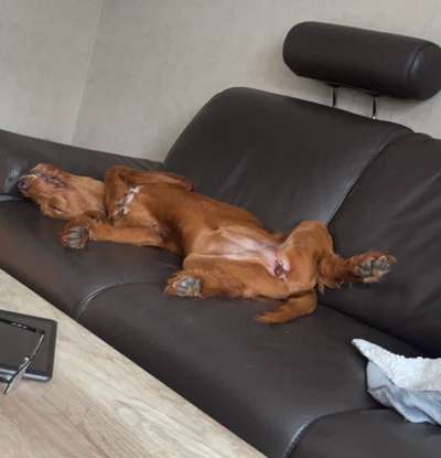 FOTO-Challenge  NR. 91: Die pure Entspannung-Beitrag-Bild