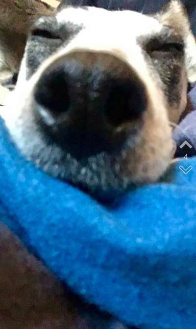 FOTO-Challenge  NR. 91: Die pure Entspannung-Beitrag-Bild