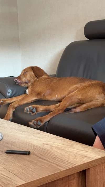 Foto Challenge Nr. 134-Beitrag-Bild