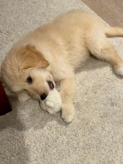 28. Farben Foto Challenge * BEIGE *-Beitrag-Bild