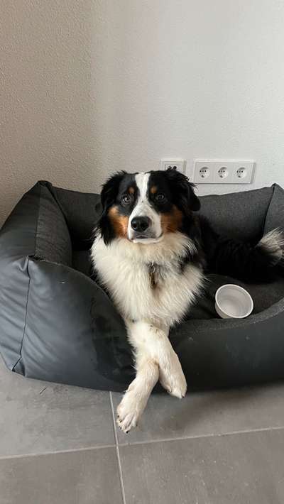 25. Handy Foto Challenge-Beitrag-Bild