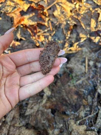 Giftköder-Nassfutterartige Paste im Wald!-Bild