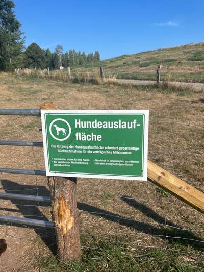 Hundeauslaufgebiet-Hingewiesen-Bild