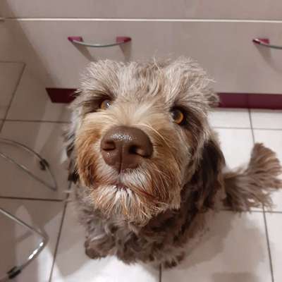 Lieblingsbild :D-Beitrag-Bild