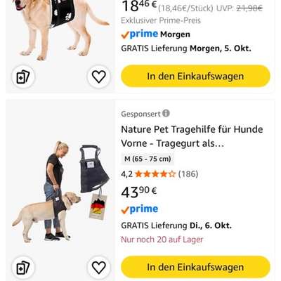 Treppen-Tragehilfe-Beitrag-Bild