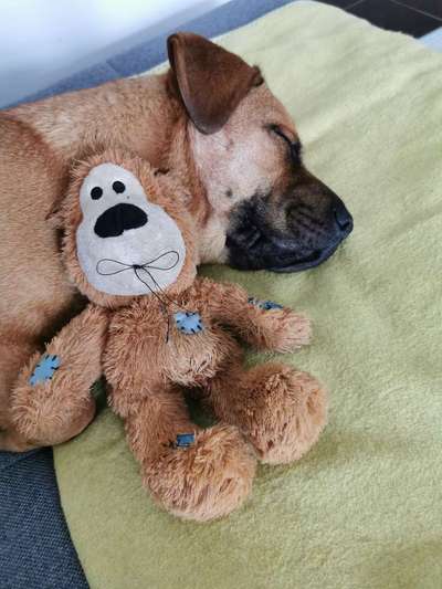 CHALLENGE NR. 34 - Liege-/Schlafpositionen-Beitrag-Bild