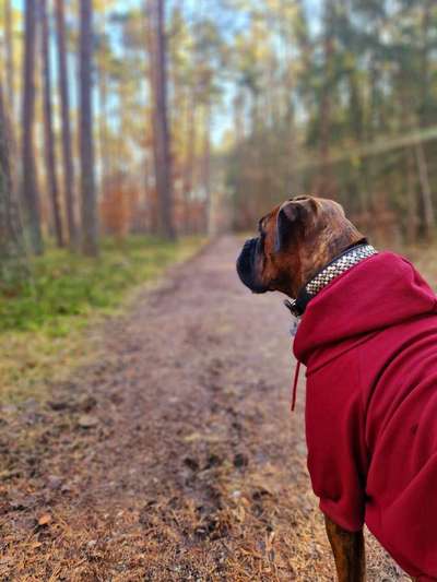 Was hat euch heute gefreut?-Beitrag-Bild