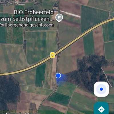 Giftköder-Evtl Giftköder-Bild