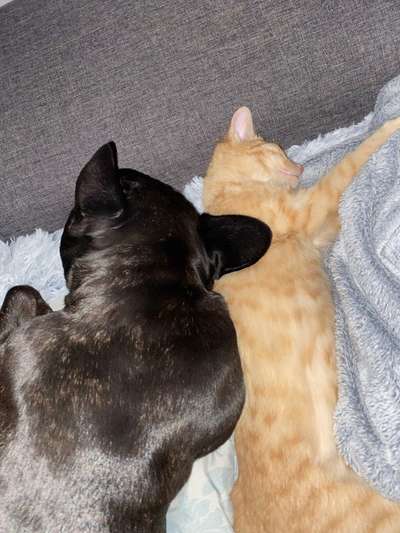 CHALLENGE Nr.17-Beitrag-Bild