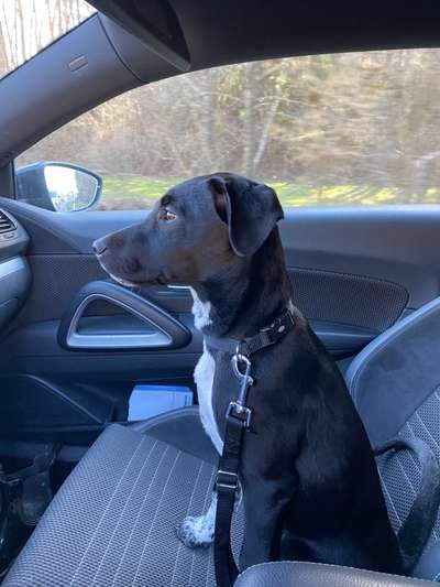 CHALLENGE NR. 18 - ON TOUR-Beitrag-Bild