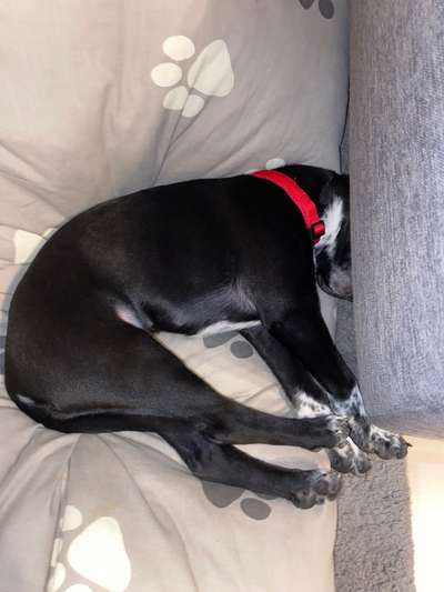 Die unbequemsten und lustigsten Schlafpositionen-Beitrag-Bild