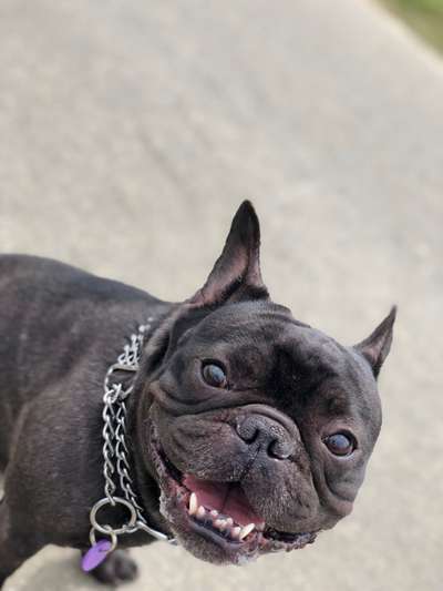 Zeigt mir eure Lieblingsfotos ♡♡-Beitrag-Bild