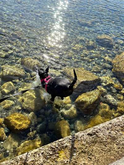 Foto Challenge Nr.133-Beitrag-Bild