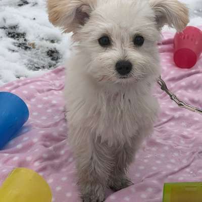 %{de_profession_title}-Alltagstraining  in der Gruppe-Bild