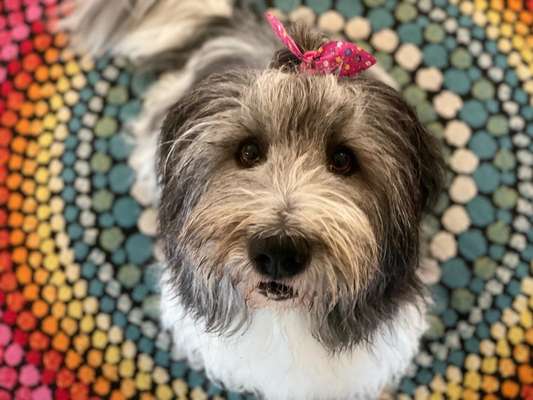 Fotochallange Nr. 57     PORTRÄT.   Beendet!!!!!!!!-Beitrag-Bild