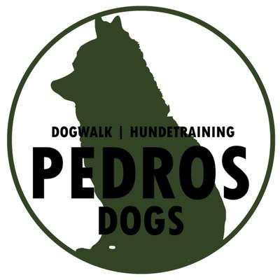 Gassi-Services-Pedros Dogs Dogwalk I Hundetraining-Bild