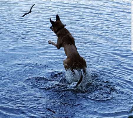 Foto Challenge - BEENDET - bitte aktuelle Challenge nutzen-Beitrag-Bild