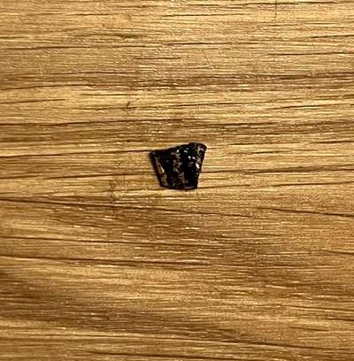 Munition im Nassfutter Vet Concept-Beitrag-Bild