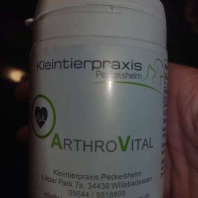 Athrose Hund vorderbein-Beitrag-Bild