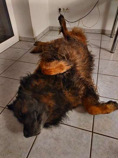 Foto Challenge Nr. 134-Beitrag-Bild