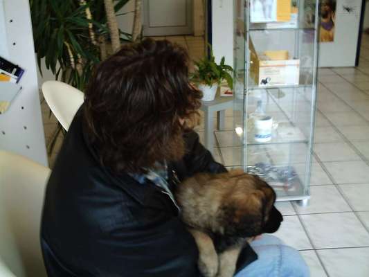 Das erste Foto-Beitrag-Bild