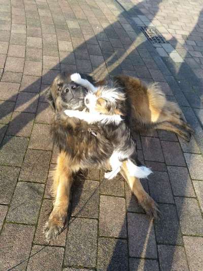 Moviestar-Pics!-Beitrag-Bild