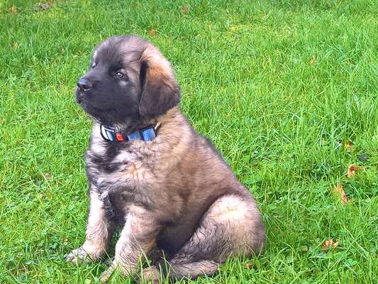 Foto Challenge 3-Beitrag-Bild