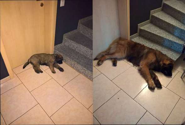 Sie werden so schnell groß!-Beitrag-Bild