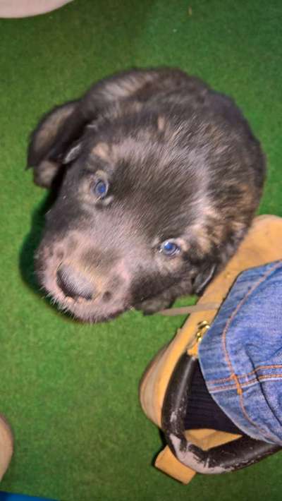 Das erste Foto-Beitrag-Bild