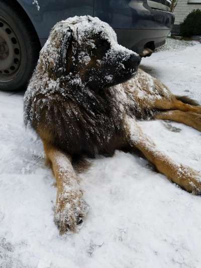 Moviestar-Pics!-Beitrag-Bild