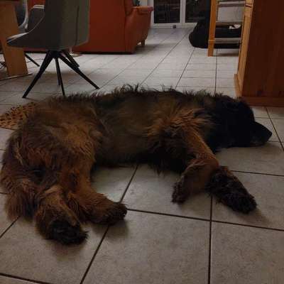 Was hat euch heute gefreut?-Beitrag-Bild