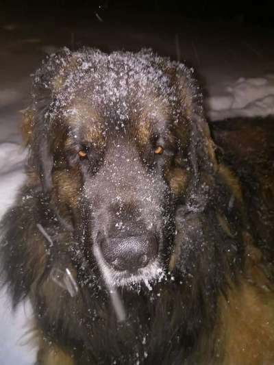 Fotochallange Nr. 57     PORTRÄT.   Beendet!!!!!!!!-Beitrag-Bild