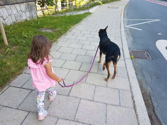 Hunde und Babys/krabbelkinder-Beitrag-Bild