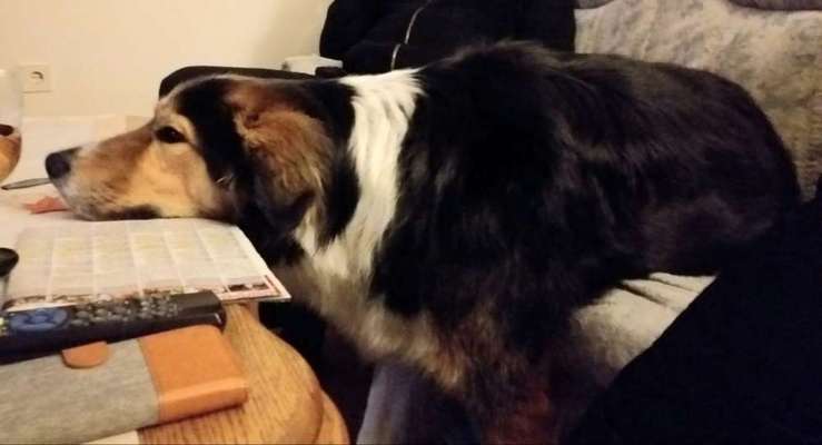 CHALLENGE NR. 34 - Liege-/Schlafpositionen-Beitrag-Bild