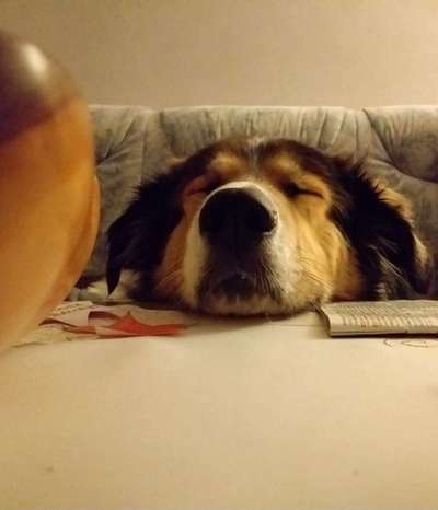 CHALLENGE NR. 34 - Liege-/Schlafpositionen-Beitrag-Bild