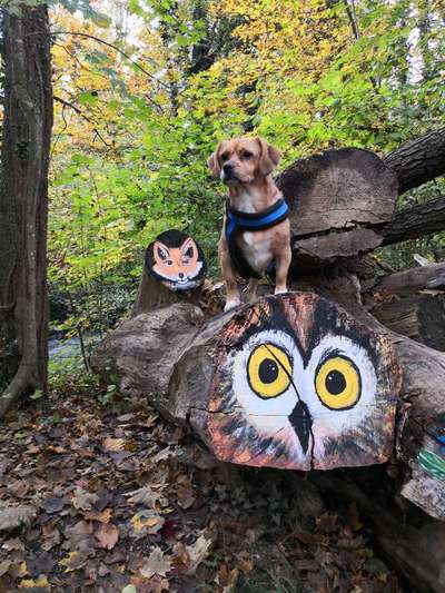 Herbst Bilder-Beitrag-Bild