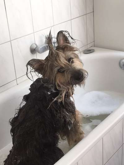 Schaumige Badebilder eurer Lieblinge-Beitrag-Bild