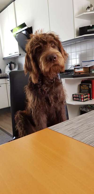 Handy-Foto Challange Nr. 12-Beitrag-Bild