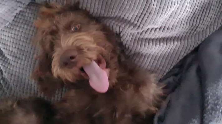 Handyfoto challenge Nr. 13: Waschlappen raus!-Beitrag-Bild