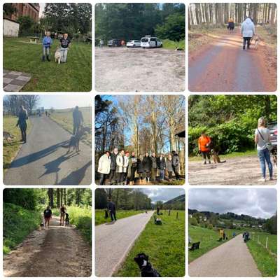 Hundetreffen-Walk & Wuff social Walk-Bild