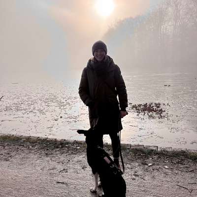 Hundetreffen-Entspannter Spaziergang mit Leine-Bild