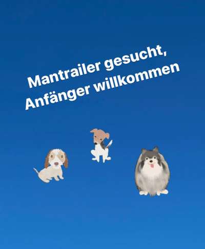 Hundetreffen-Mantrailer für neue Gruppe gesucht, auch Anfänger sind willkommen-Bild