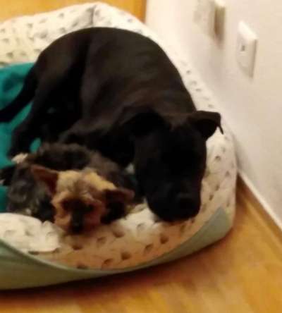 Fotochallenge Nr. 62 Romantische Momente-Beitrag-Bild