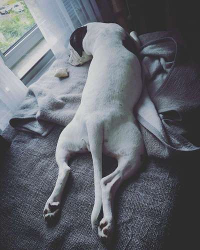 Die unbequemsten und lustigsten Schlafpositionen-Beitrag-Bild