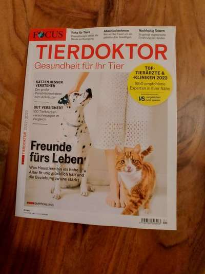 Windhunde - Treffen der besonderen Schönheiten
HERZLICH WILLKOMMEN-Beitrag-Bild