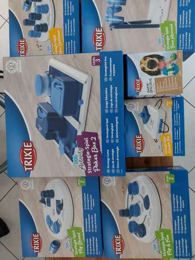 Windhunde - Treffen der besonderen Schönheiten
HERZLICH WILLKOMMEN-Beitrag-Bild